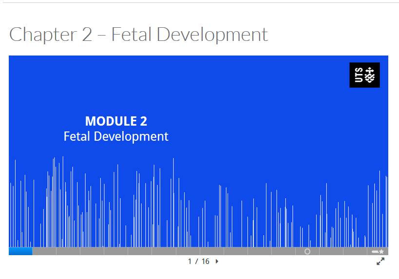 Interactive slides in H5P, that have been embedded in a Canvas page displaying the title slide.