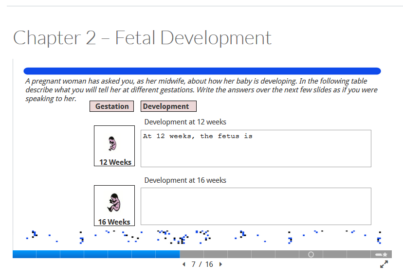 Interactive slides in H5P that have been embedded in a Canvas page, displaying text boxes where students can insert their answers into.