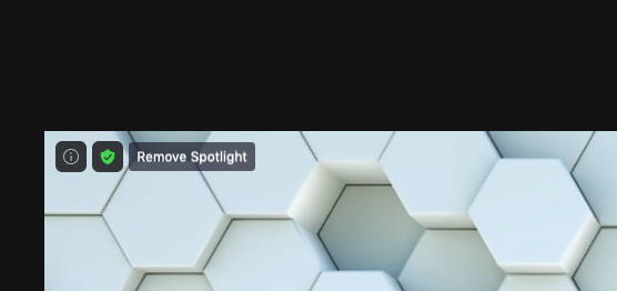 Screenshot of Zoom meeting participant window with 'Remove Spotlight' button